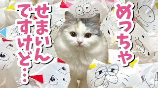 スーパーの袋で作った猫をおばけと勘違いする猫【おしゃべりする猫】 【猫アテレコ】