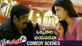 Shruti Haasan Best Comedy Scene | Race Gurram Movie Comedy Scenes | Thaman S | Telugu FilmNagar