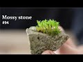 How to make Tachigoke grow on stones#94