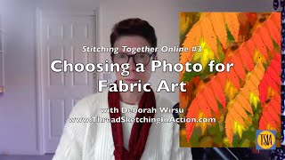 Choosing a Photo for Fabric Art - Stitching Together Online #3