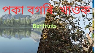 🙏😀Local Ber fruits testy@DimpuBaruah