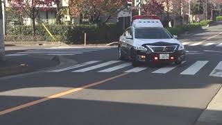 埼玉県警察 🚔パトカー🚔 🚨緊急走行🚨