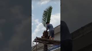 Look Real or Fake? This Palm Tree Will Surprise You! #ArtificialTree #PalmTree