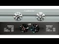 JannPaul: Diamond Purchasing Tips