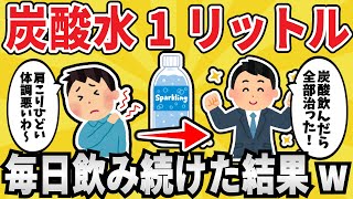 【本当に健康？】炭酸水を毎日１リットル飲み続けた結果ｗｗｗ【有益スレ】【ゆっくり解説】