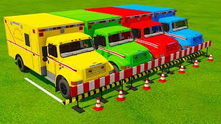 TRANSPORTING COLOR ALL AMBULANCE DEPARTAMENT WITH MAN TRUCK