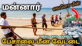 #mannar #srilanka mannar mannar vlogs மன்னார் பேசாலை மீன் வேட்டை | mannar pesalai sea fishing