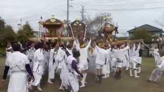 熱田神社・水神社・川戸神社の神輿３基が揃い踏み(千倉）