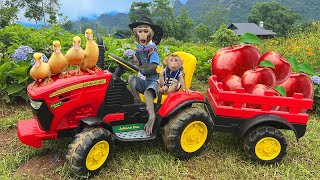 Bim Bim and baby monkey Obi pick apples in the garden | Cute duckling is eating grass and swimming