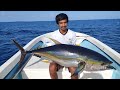 Catching Yellowfin Tuna using live baits - Yellowfin Tuna Fishing in Maldives