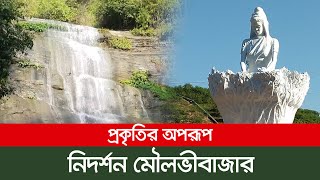 দেখার আছে অনেক কিছু | চায়ের দেশ | মৌলভীবাজার | Tea Land | Moulvibazar | Bangladesh Tourism