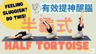 How to Half Tortoise \u0026 Boost energy | 充電瑜珈半龜式 如何進步? （Mandarin Speaking）