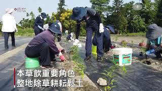 為了淨斯本草飲 志工歡喜耕耘栽種藥草