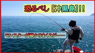 真夏の米水津【沖黒島】はモンスターだらけ！！