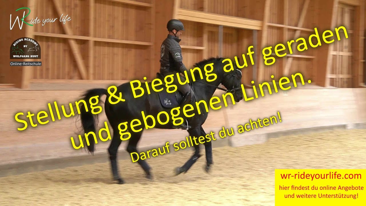 F174 Pferde Korrekt Reiten Lernen Ist In Wendungen Stellung Und