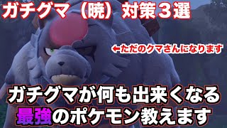 アカツキのガチグマ対策に悩む方に最もふざけた最強の対策ポケモン教えます【ポケモンSV実況】