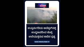 ಉಪ್ಪಿನಂಗಡಿ: ಅಡೆಕ್ಕಲ್‌ನಲ್ಲಿ ಉಷ್ಣತಾಪದಿಂದ ಹೊತ್ತಿ ಉರಿಯುತ್ತಿರುವ ಕಾಡಿನ ದೃಶ್ಯ #uppinangady #news #fire