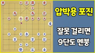 9단도 멘붕오게 하는 압박용 포진 (슈이비닝 장기)