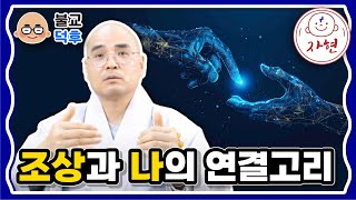 나의 조상은 나에게 어떤 영향을 주고 있을까?