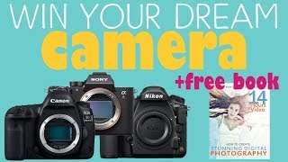 1M SUB GIVEAWAY! Free SDP! Win a dream camera or $3,000!