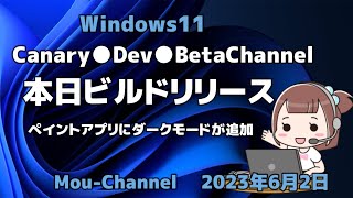 Windows11●Canary●Dev●BetaChannel●本日ビルドリリース●ペイントアプリにダークモードが追加