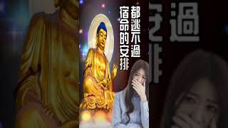 人間非淨土 各有各的苦 同是紅塵悲傷客 莫笑誰是可憐人【公益分享】