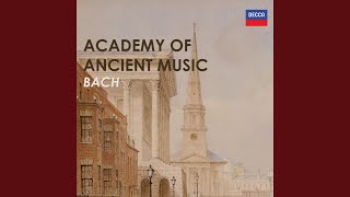 J.S. Bach: Suite No. 1 in C, BWV 1066: 7. Passepied I-II