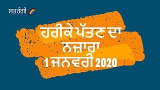 Harike Wetland II ਹਰੀਕੇ ਪੱਤਣ ਦਾ ਨਜ਼ਾਰਾ II 2020