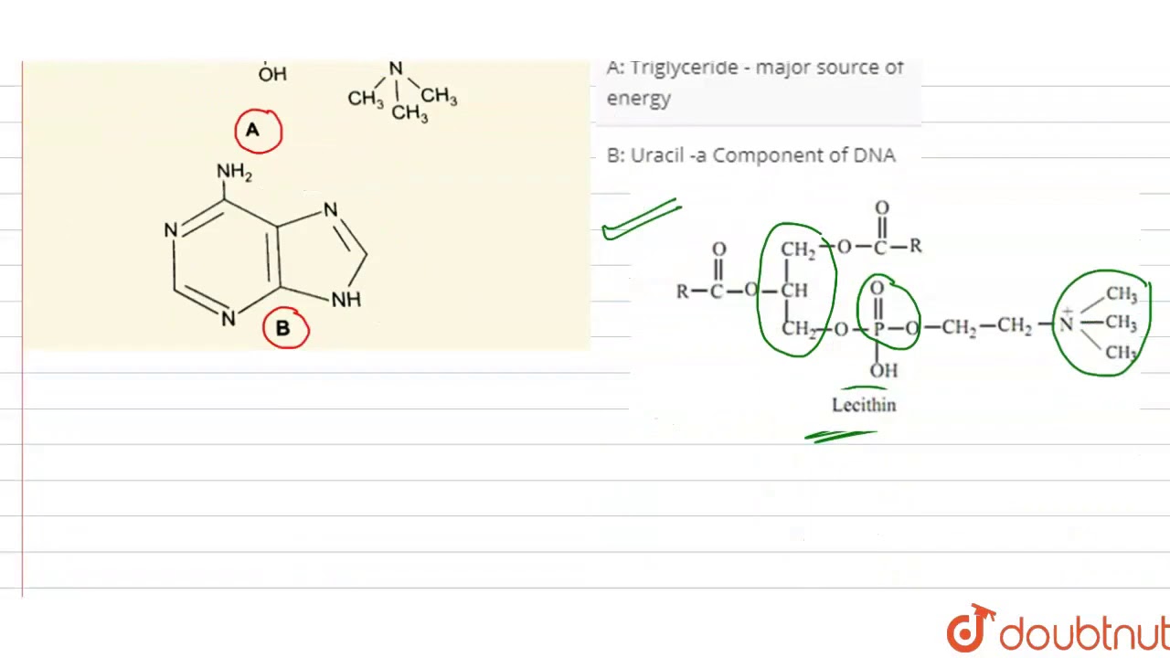 Which One Of The Following Structural Formula Of Two Organic Compounds ...