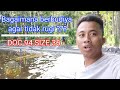 Atur manajemen pakan tambak agar tidak rugi || DOC 96 SIZE 36