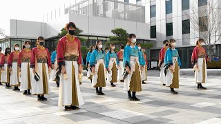 早稲田大学 東京花火 【かみはかり】 HICity WINTER FESTIVAL 2020 ＜14時の演舞＞