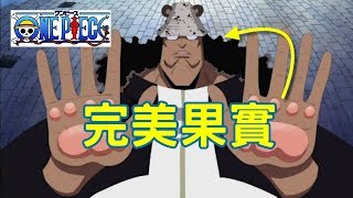 海賊王最完美果實，早被作者強行排除 | 航海王 | ONE PIECE | ワンピース | 動漫