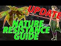 BLIZZARD UPDATE NATURE RESISTANCE GUIDE | AQ40 Preparation | Classic WoW |