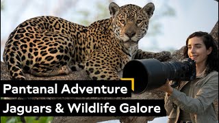 Exploring the Pantanal: Home of Jaguars, Caimans \u0026 the World’s Largest Wetland