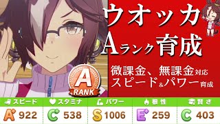 【ウマ娘】無課金でもできるウオッカAランク育成。これでURA優勝！【初心者攻略後編：実践編】