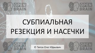 Субпиальная резекция и насечки