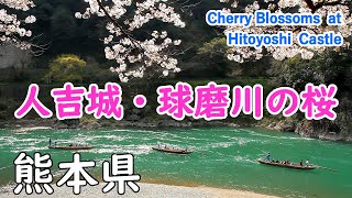 Cherry Blossoms at Hitoyoshi Castle with Relaxation Music ( Kumamoto ) / Spectacular Views of Japan