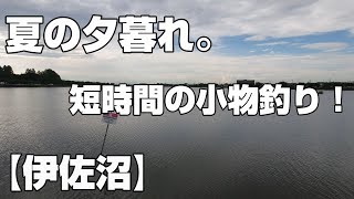 【小物釣り】案外手前の方が良いのかも？【伊佐沼】