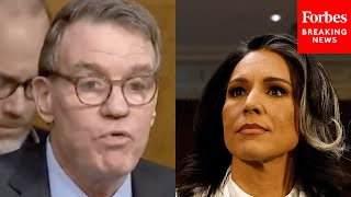 'I Don't Find Your Change Of Heart To Be Credible': Mark Warner Blasts Tulsi Gabbard Over FISA Flip