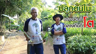 ชมสวนหลังบ้าน อ.เปี๊ยก พ.ค. 2564 | คนรักษ์ป่า ep 193