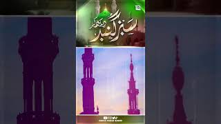 New Naat 2018 - Sabz Gumbad Dekh Kar - Hafiz Tahir Qadri