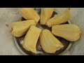 பல்வேறு அரியவகை பலா செட்டிகள் ஒரே இடத்தில் jackfruit plants u2 nursery