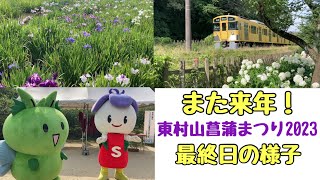 【今年もありがとうございました！】第35回東村山菖蒲まつり〜最終日の菖蒲の様子