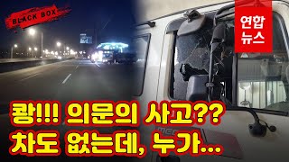 [블랙박스] ○○가 튀어나와서?…도로에 차도 없는데 졸지에 맞았다 / 연합뉴스 (Yonhapnews)