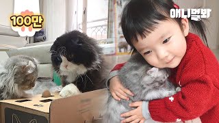 아기 집사와 6마리 고양이가 함께 사는 법ㅣHow A 3-Year-Old Butler Kid Stops Cats Fighting