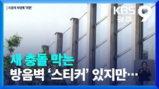 새 충돌 막는 방음벽 ‘스티커’ 있지만…시공비 부담에 ‘외면’ / KBS  2023.06.23.