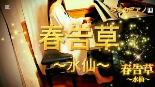 春告草〜水仙〜　(再録★キー変更)(オリジナル曲)【歩笑のピアノ🎹】