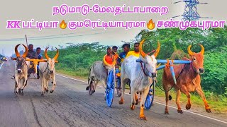 நடுமாடு மேலதட்டப்பாறை தூத்துக்குடி (மா)@-kaalaipriyan