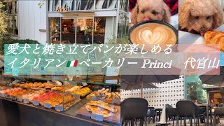 愛犬と焼き立てパンが楽しめるイタリアン🇮🇹ベーカリー Princi(プリンチ)  代官山 T-SITE