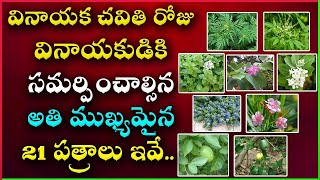 Vinayaka chavithi 21 patri names in telugu |వినాయక చవితి పూజకు 21 పత్రాలు | గణపతి పూజ ఎలా చేయాలి ?